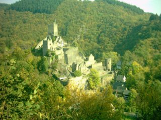 photo5.jpg